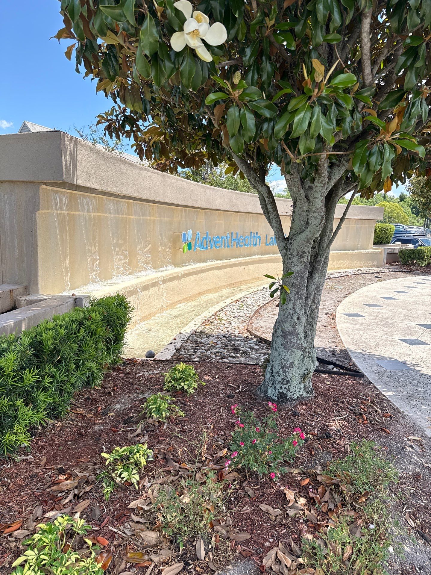 AdventHealth Lakeview fountain